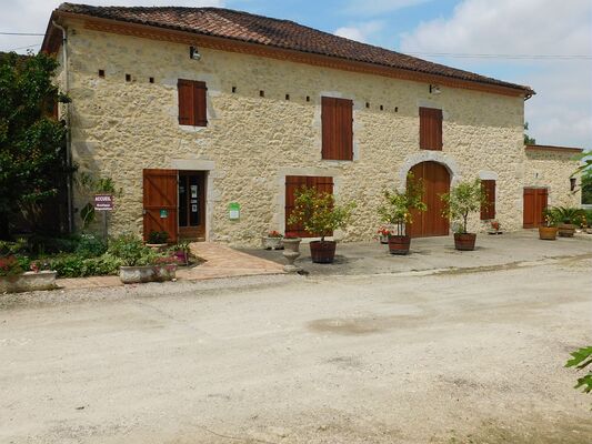 Vignoble du Gers