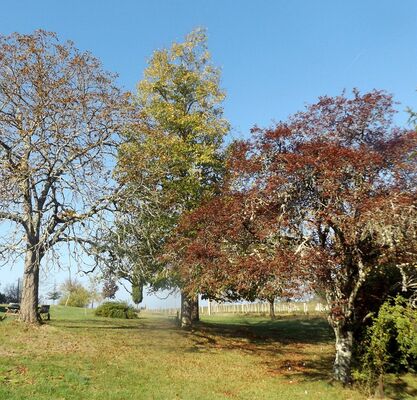 CARITON RETREAT