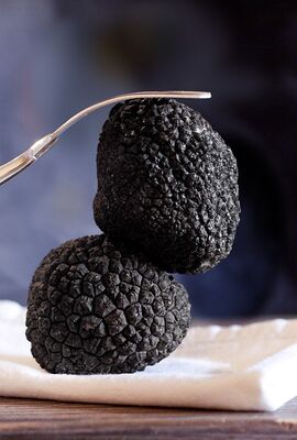 Février mois de la truffe à la Table des Cordeliers