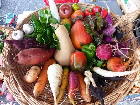 FERME LES BOU DE JARDIN