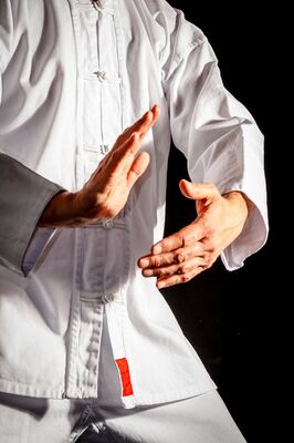 Taï Chi Chuan