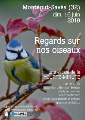 Regards sur nos oiseaux