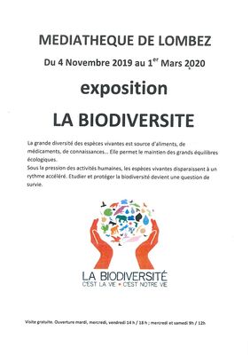 Exposition