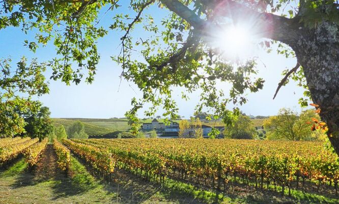 DOMAINE