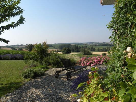PHOTO11