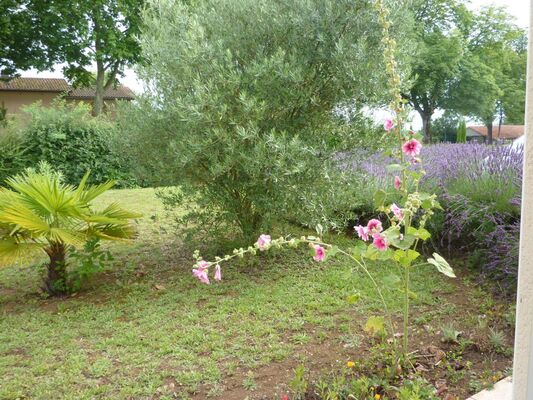 PHOTO14