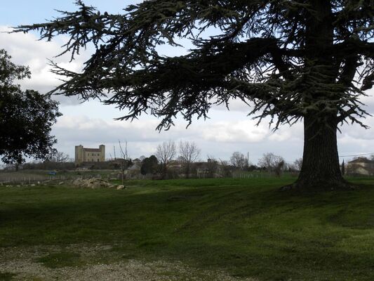 PHOTO11