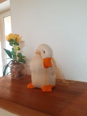 PHOTO12