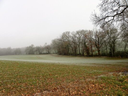 PHOTO2