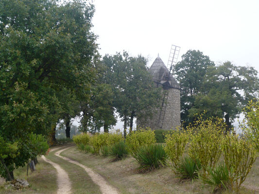 PHOTO12