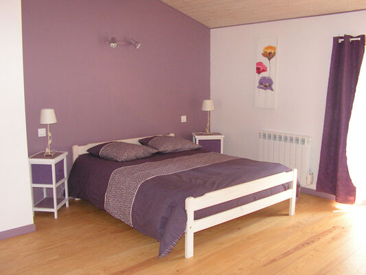 PHOTO3