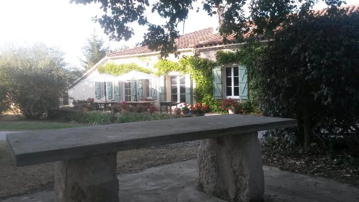 PHOTO11
