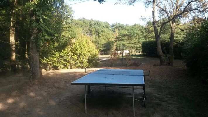 PHOTO13