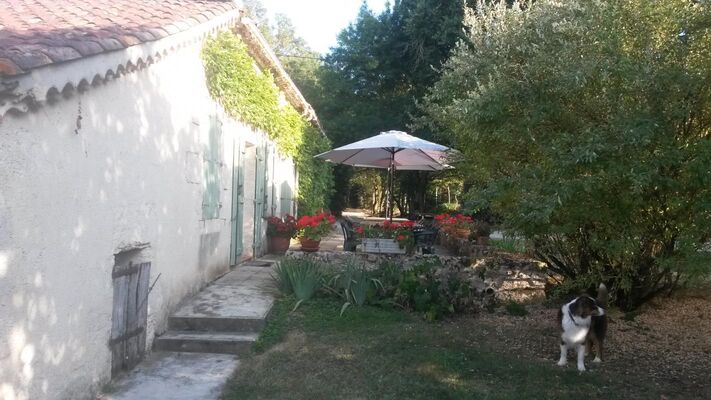 PHOTO15