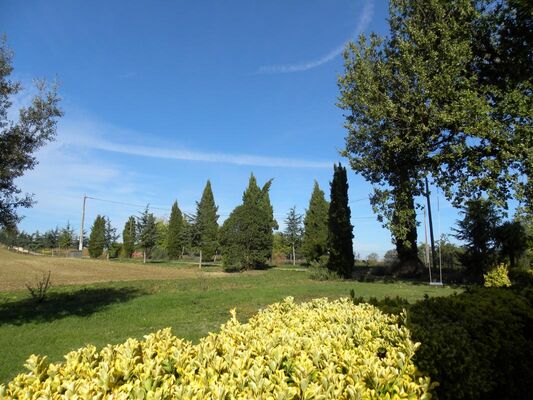 PHOTO2