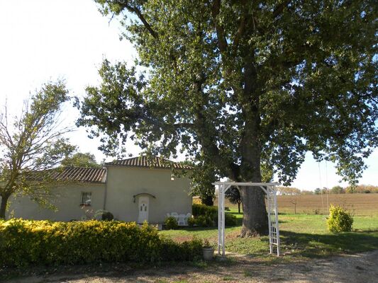 PHOTO14