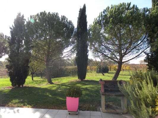 PHOTO15