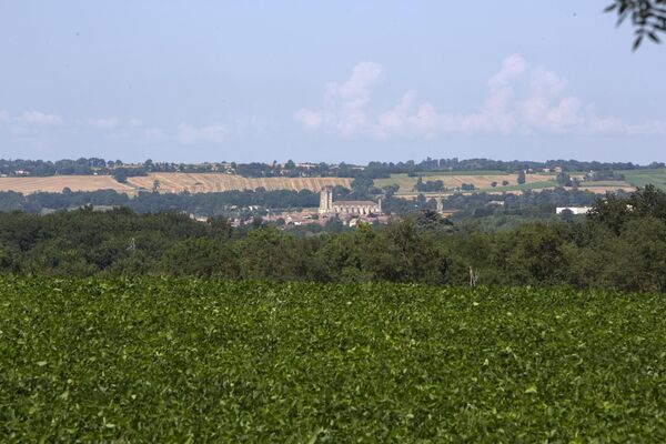 PHOTO10