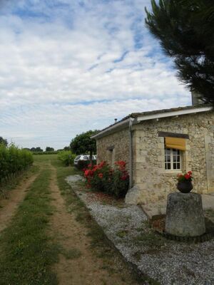 PHOTO16