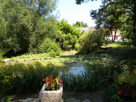 PHOTO13
