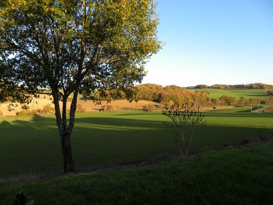 PHOTO14