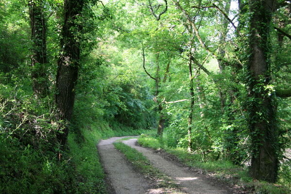 PHOTO2