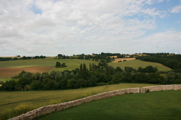 PHOTO3