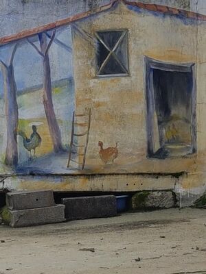 PHOTO7
