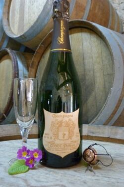 Champagne Coste<Gland<Aisne<Picardie