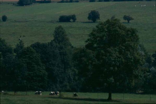 PAYSAGE DE THIERACHE