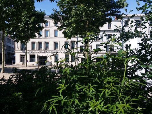Le Best Western "Hôtel de la Brèche" à Niort