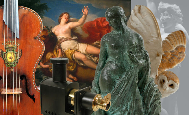Le musée Bernard d'Agesci : un musée 3 en 1 à Niort