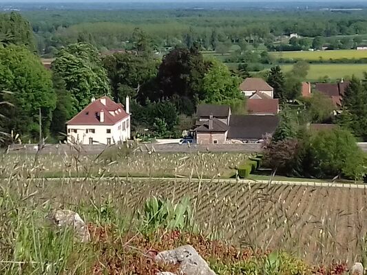 Givry - Domaine Vincent Lumpp - 2018