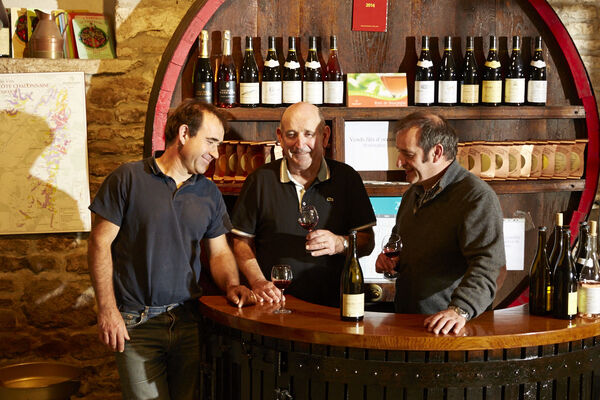 Jambles - Domaine Sarrazin Michel et Fils - 2017