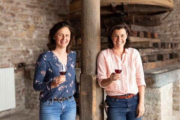 Mercurey---Chateau-de-Garnerot---Vins---Domaine---Degustation---2019---6-