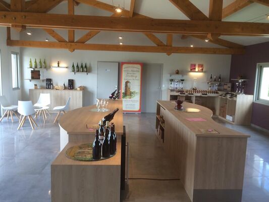 Mercurey - Domaine Duvernay - 2016 - 1