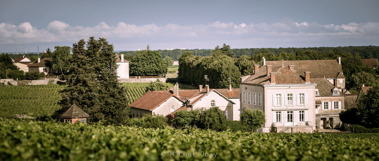 Mercurey - Domaine Jeannin Naltet - 2016 - 2