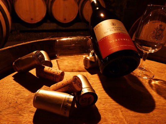 040 Domaine de Suremain