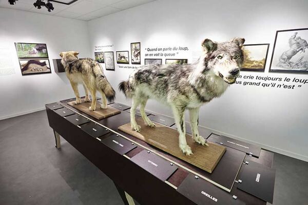 Musée du Loup