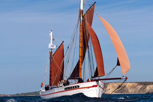 Belle Étoile