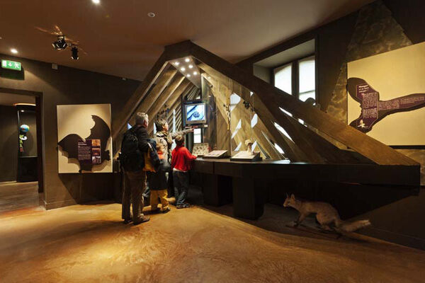 Maison de la Chauve-souris