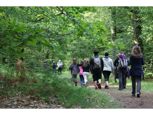 Marche gourmande de Brocéliande