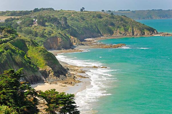 Martin Plage