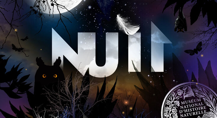 Nuit-5