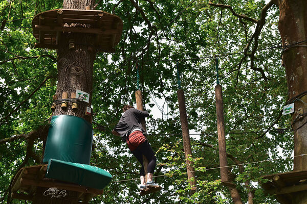 Bonobo Parc