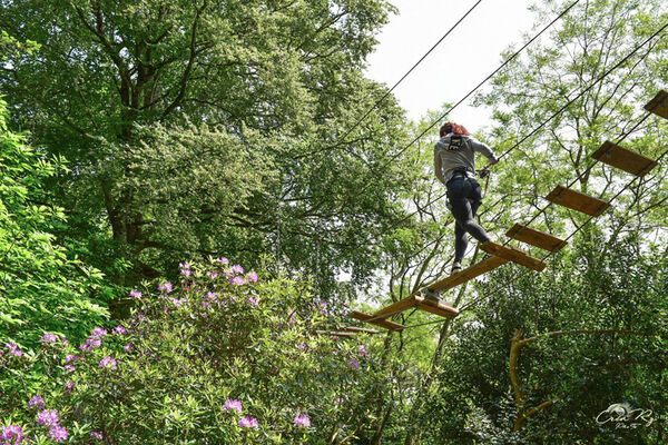 Bonobo Parc