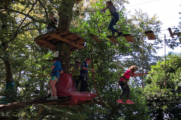 Bonobo Parc