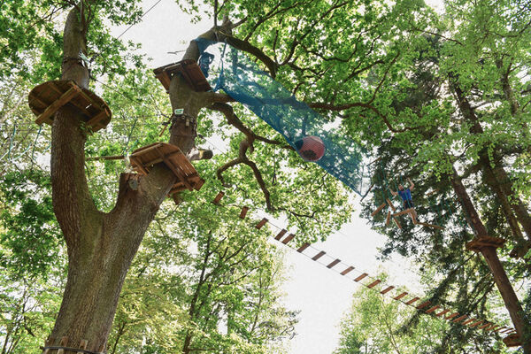 Bonobo Parc