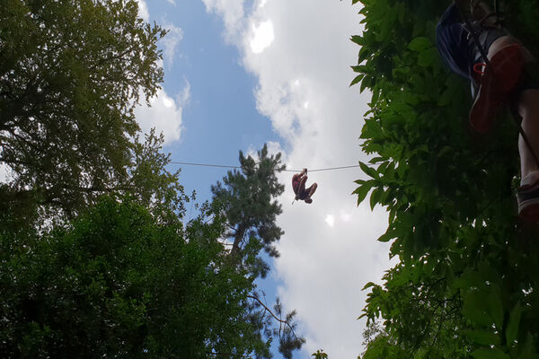 Bonobo Parc