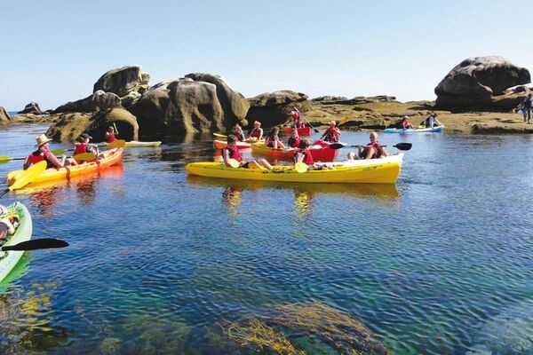 A la rencontre des phoques gris en kayak